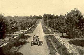 Motoring on Saw Mill River Road