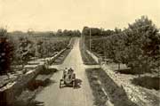 Motoring on Saw Mill River Road circa 1914