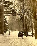 Sleighride on Crompond Street