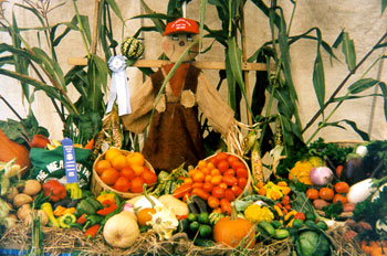 1998 Winning Produce Display