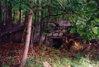 Lime kiln