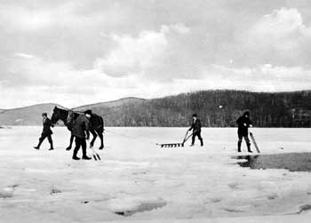 Cutting Ice - Abele's Point 